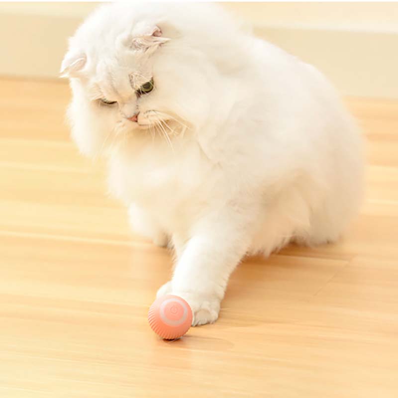 Automatic Smart Cat Toy